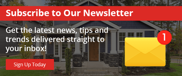 Newsletter Subscription CTA