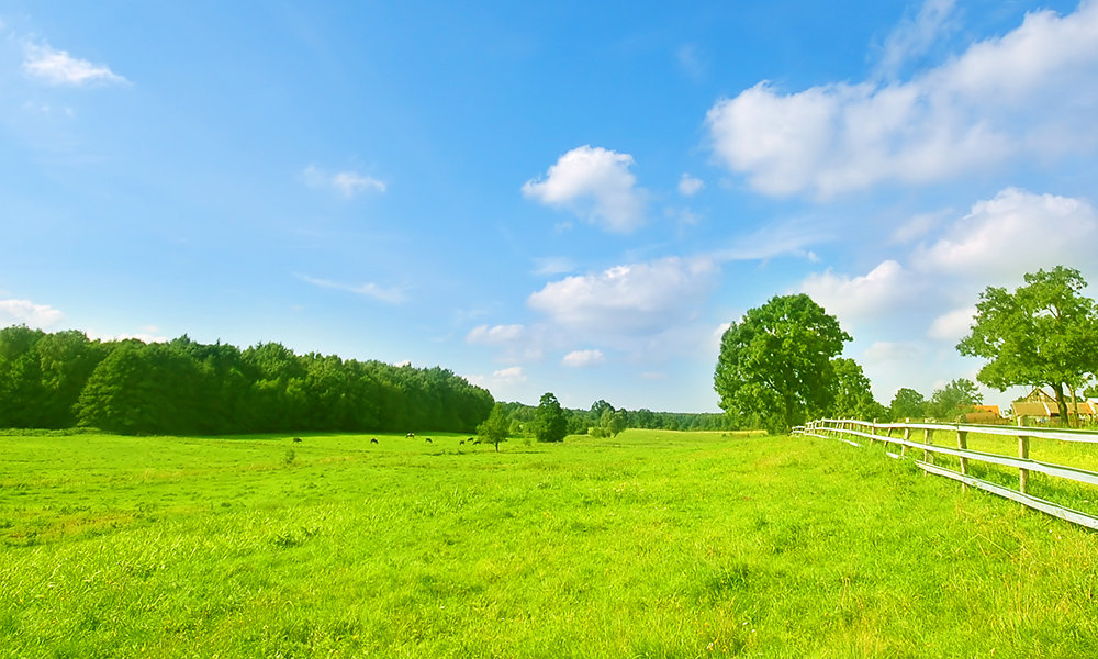 Acreage and Country Image